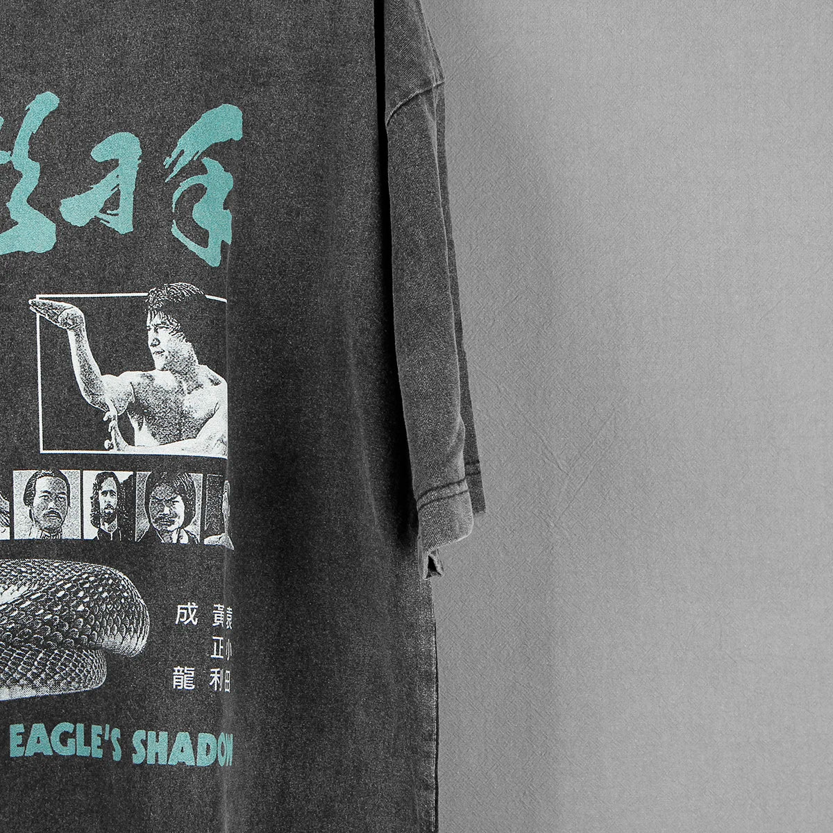 Snake in the Eagle's Shadow — Jackie Chan Kung Fu Tee