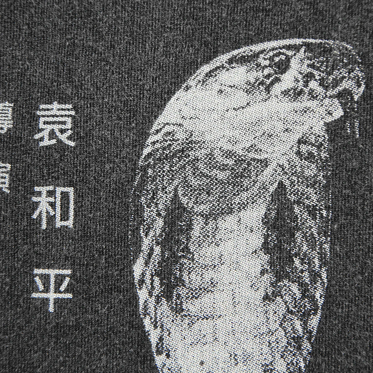 Snake in the Eagle's Shadow — Jackie Chan Kung Fu Tee