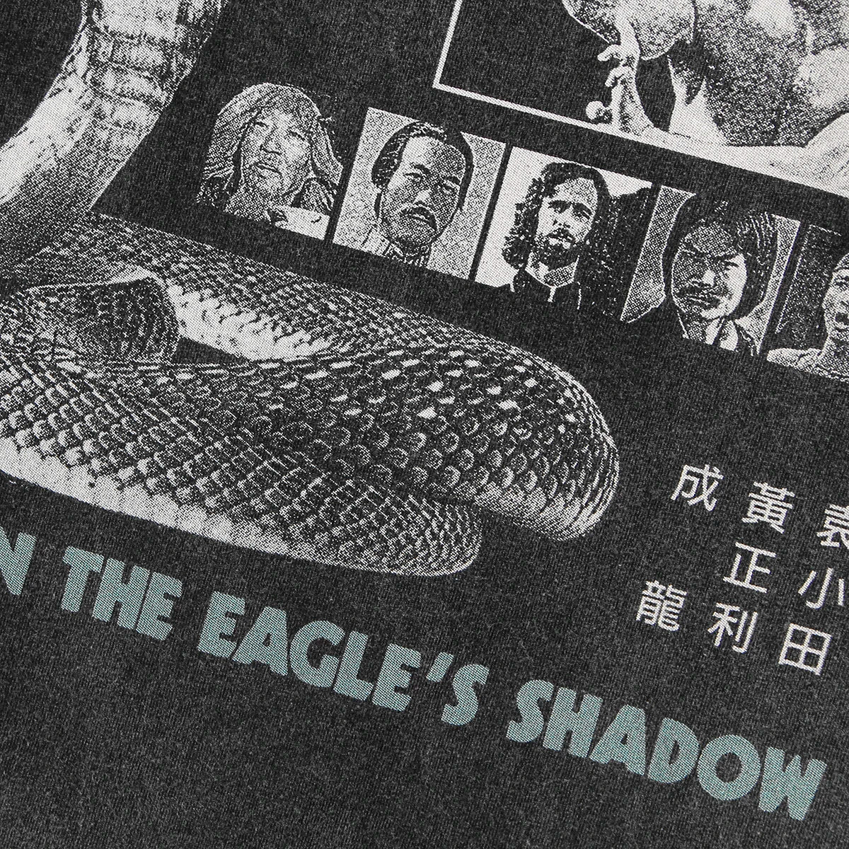 Snake in the Eagle's Shadow — Jackie Chan Kung Fu Tee