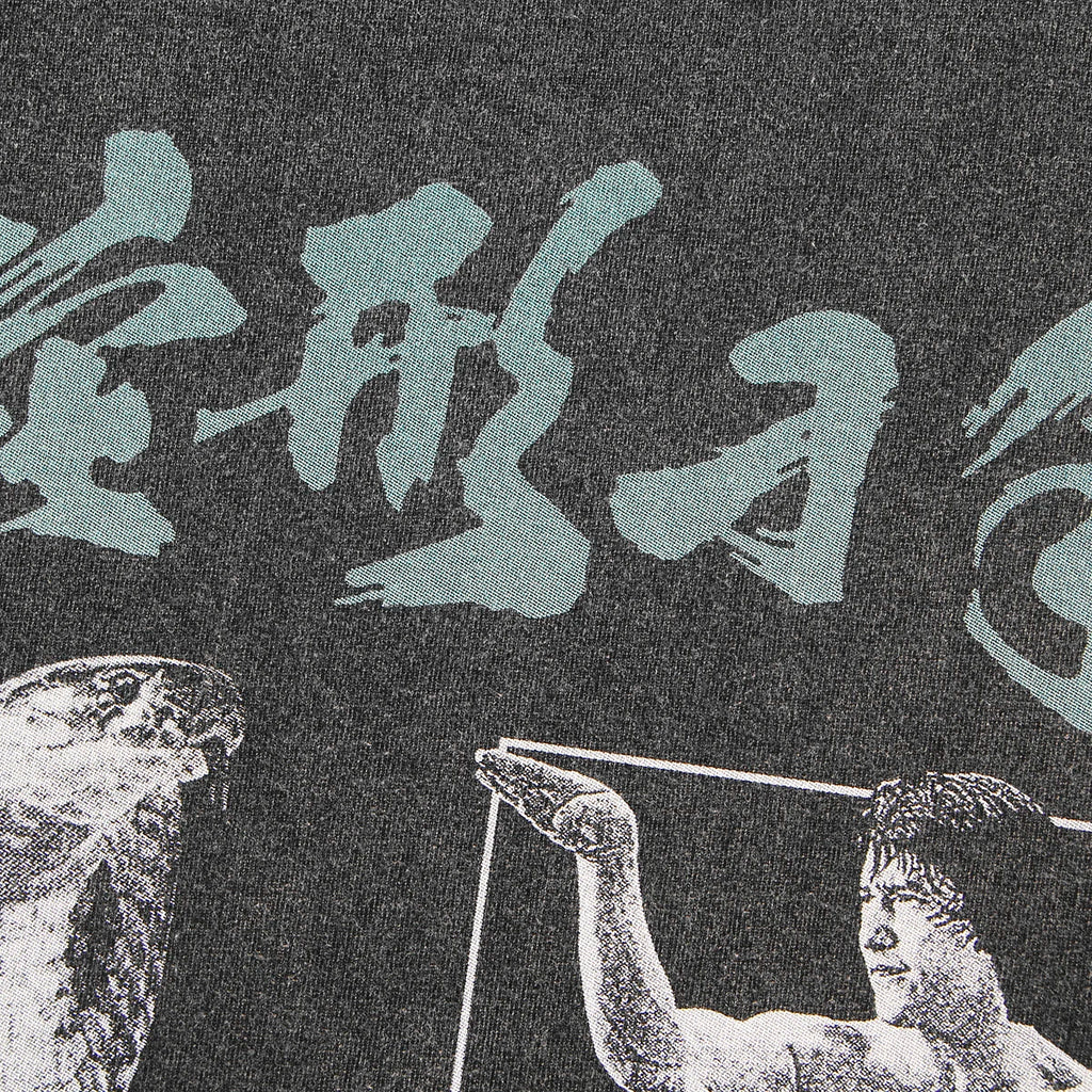 Snake in the Eagle's Shadow — Jackie Chan Kung Fu Tee